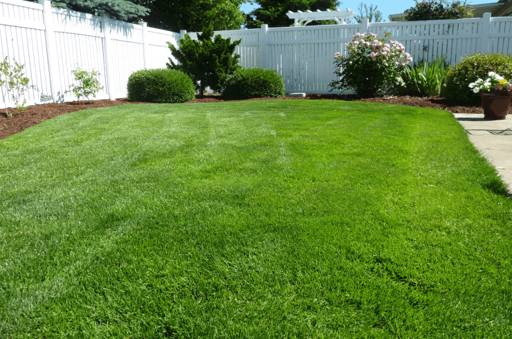 Let's Mow The Green!